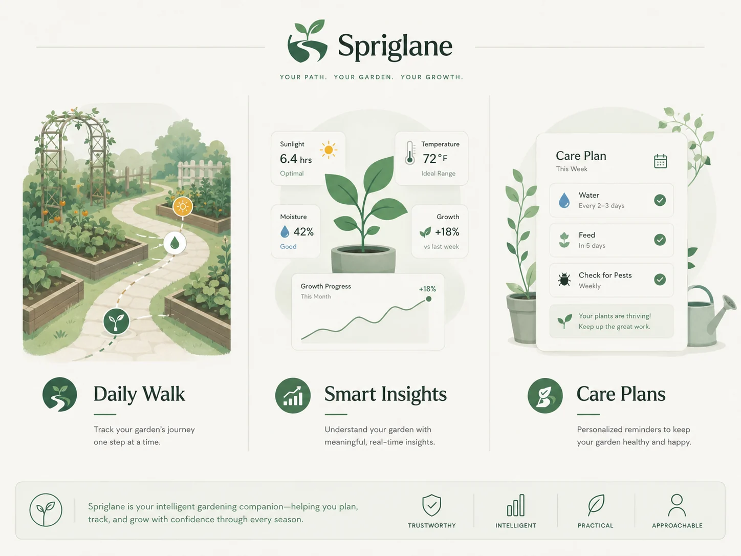 Spriglane visual explaining Daily Walk, Smart Insights and Care Plans